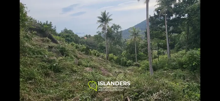 Terreno en venta - Haad Yao–Srithanu, Ko Pha-ngan