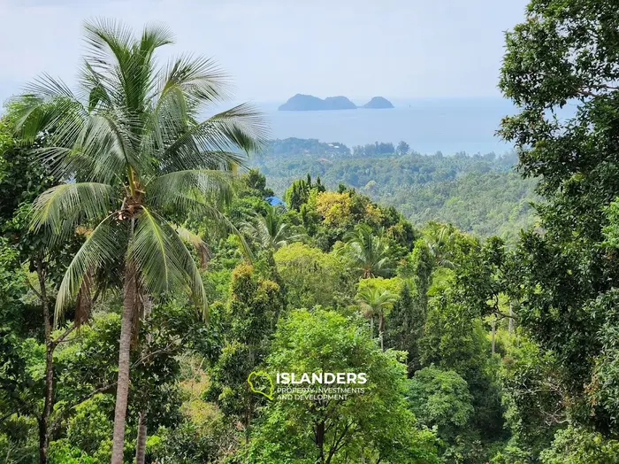 Terreno en venta - Haad Yao–Srithanu, Ko Pha-ngan