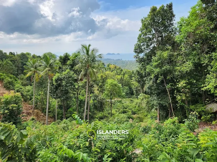 Terreno en venta - Haad Yao–Srithanu, Ko Pha-ngan