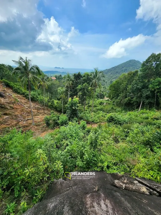 Terreno en venta - Haad Yao–Srithanu, Ko Pha-ngan