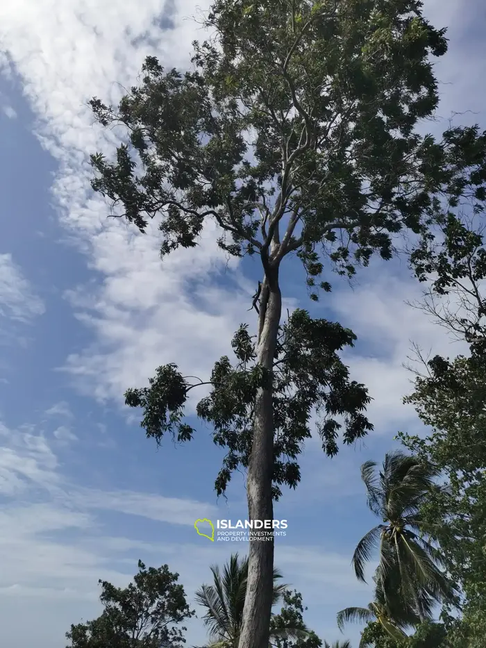 Prime 1,600 sqm Land Plot