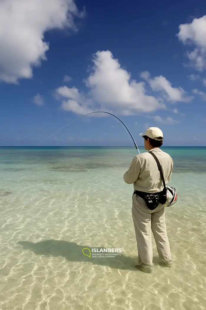 ٧ غرف نوم · ٦ حمامات · ٤١٣.٧ م² · شقة