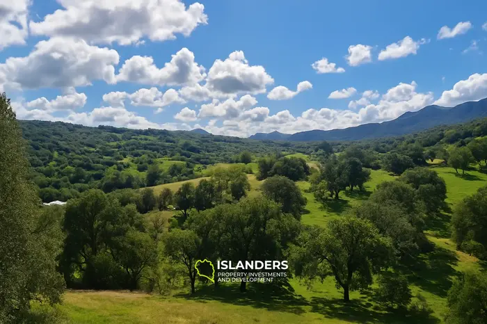 3 Chambres · 3 Salles de bain · 325 m² · Maison