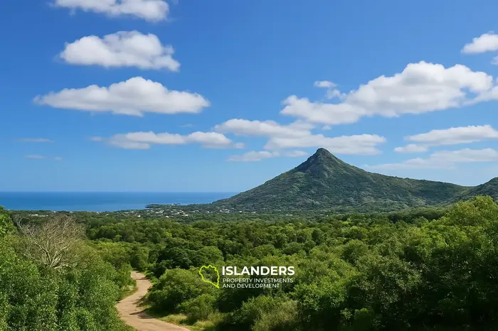 4 Chambres · 376 m² · Maison