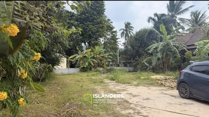 Investment Land with Ready Business Potential