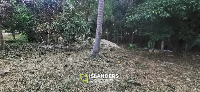 Charming land facing the river