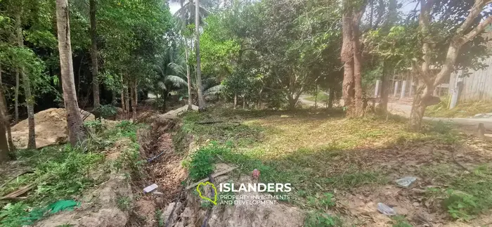 Charming land facing the river