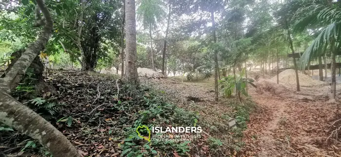 Charming land facing the river