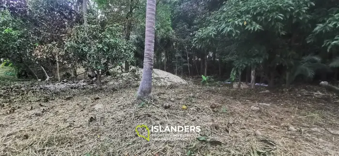 Charming land facing the river