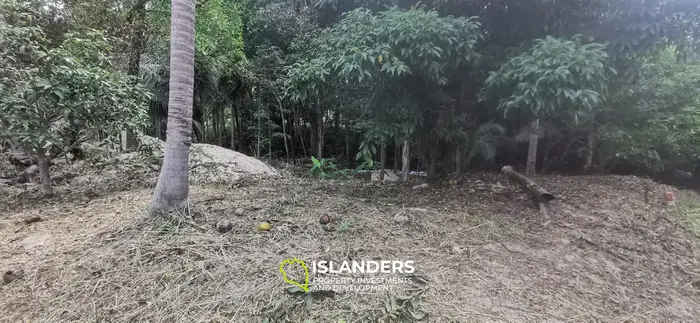 Charming land facing the river