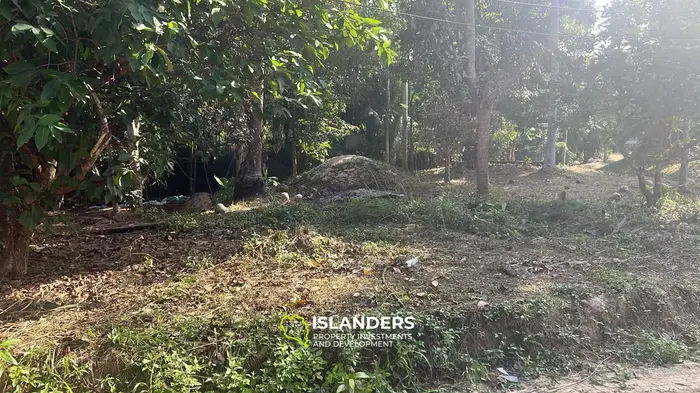 Charming land facing the river