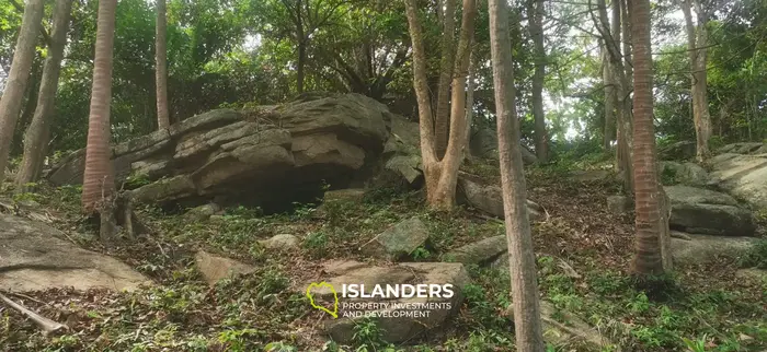 Beautiful sea view land for lease