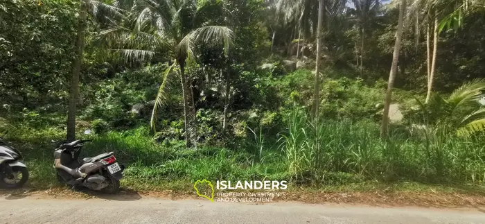 Beautiful sea view land for lease