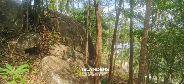 Beautiful sea view land for lease