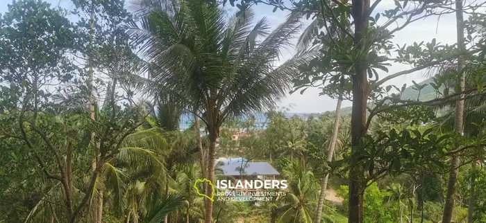 Beautiful sea view land for lease