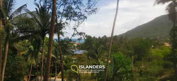 Beautiful sea view land for lease