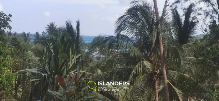 Beautiful sea view land for lease