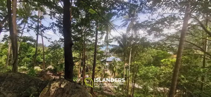 Beautiful sea view land for lease