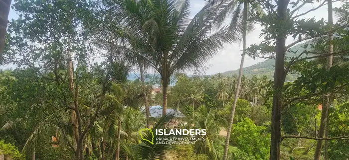 Beautiful sea view land for lease