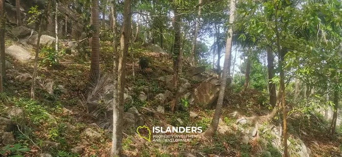 Beautiful sea view land for lease