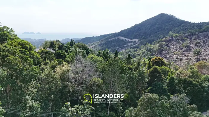 Land for Sale – Haad Yao, Koh Phangan