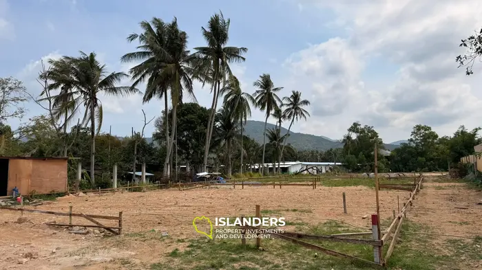 Small plot ready for construction