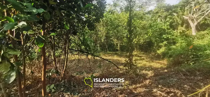 Beautiful flat 680 SqM plot next to a river