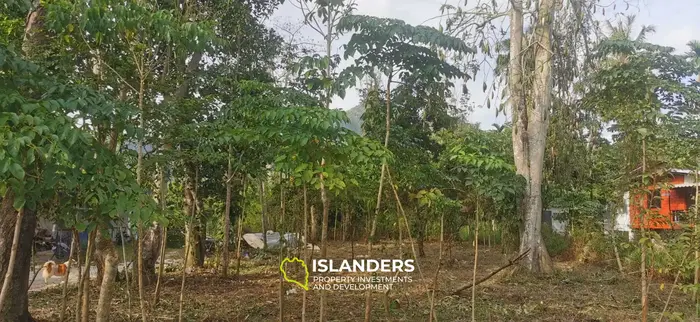 Beautiful flat 680 SqM plot next to a river