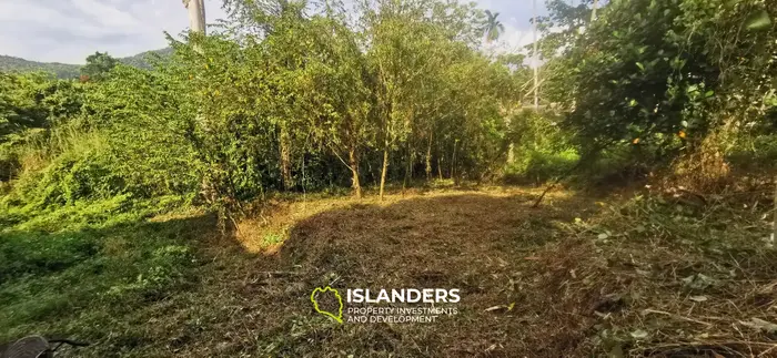 Beautiful flat 680 SqM plot next to a river