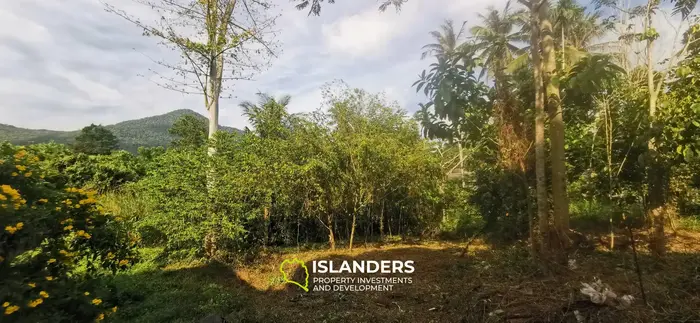 Beautiful flat 680 SqM plot next to a river