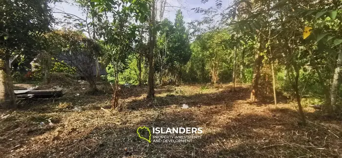 Beautiful flat 680 SqM plot next to a river