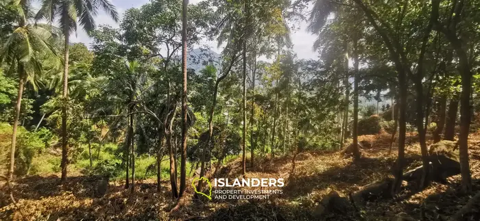 Mountain view plots – Bantai