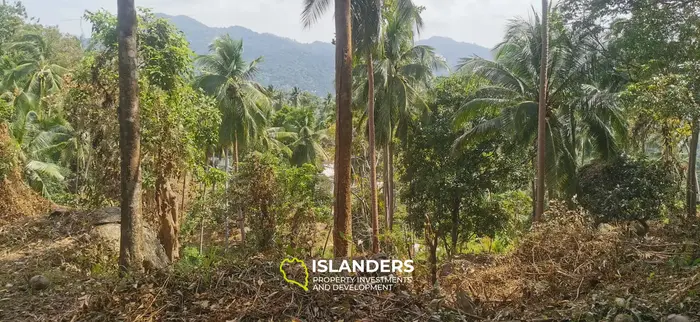 Mountain view plots – Bantai