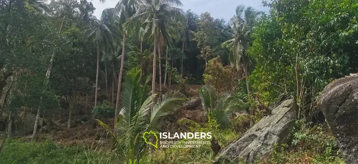 Mountain view plots – Bantai