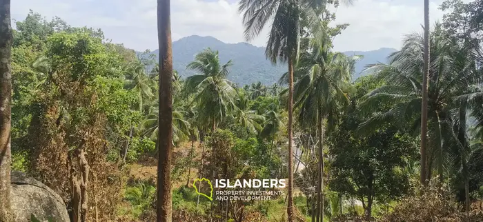 Mountain view plots – Bantai