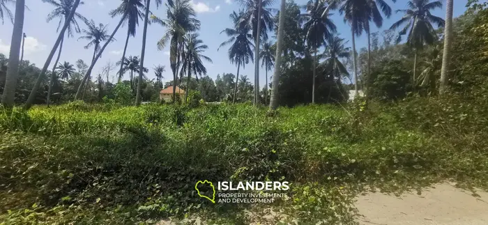 Beautiful 2,068 SqM flat land in a coconut grove