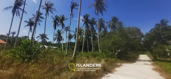 Beautiful 2,068 SqM flat land in a coconut grove