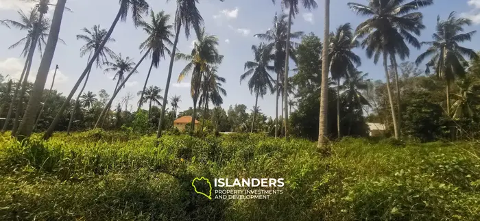Beautiful 2,068 SqM flat land in a coconut grove