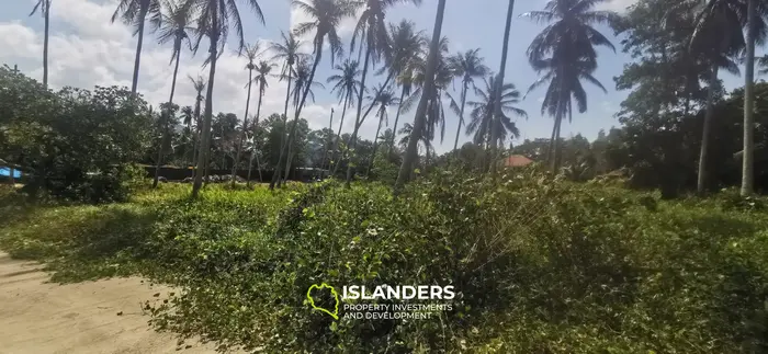 Beautiful 2,068 SqM flat land in a coconut grove