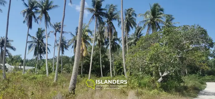 Beautiful 2,068 SqM flat land in a coconut grove