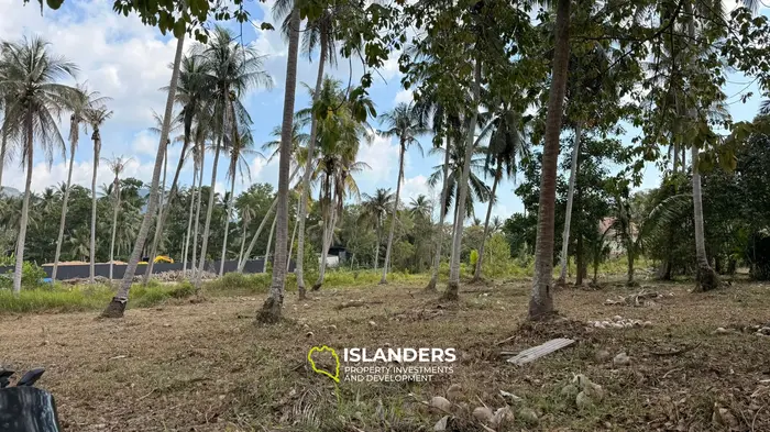 Beautiful 2,068 SqM flat land in a coconut grove