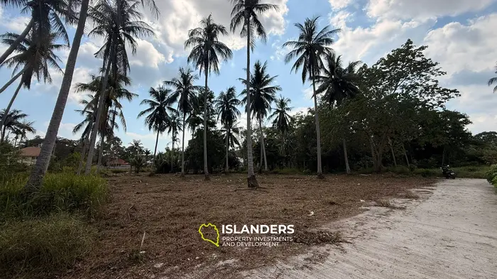 Beautiful 2,068 SqM flat land in a coconut grove