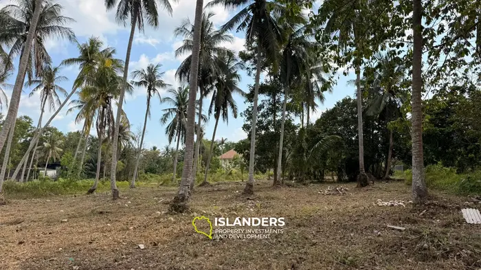 Beautiful 2,068 SqM flat land in a coconut grove