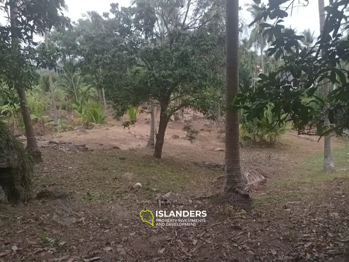 थोंग नाई पान नॉई, कोह फंगन में विशेष समुद्री दृश्य भूमि पट्टा