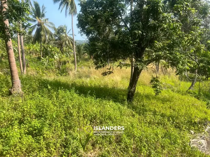 थोंग नाई पान नॉई, कोह फंगन में विशेष समुद्री दृश्य भूमि पट्टा