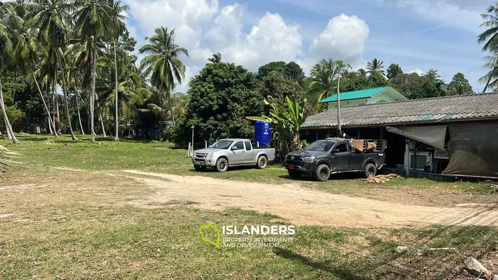 Exquisite Jungle View Land for Lease in Baan Tai, Koh Phangan