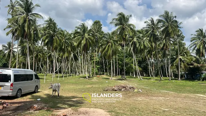 Exquisite Jungle View Land for Lease in Baan Tai, Koh Phangan