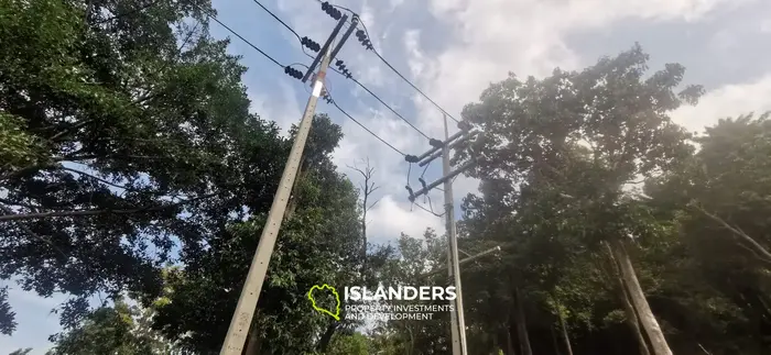 WOW Sea view land (3 plots) in Mae Haad