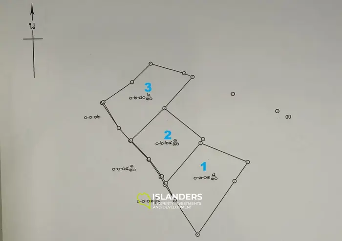 WOW Sea view land (3 plots) in Mae Haad