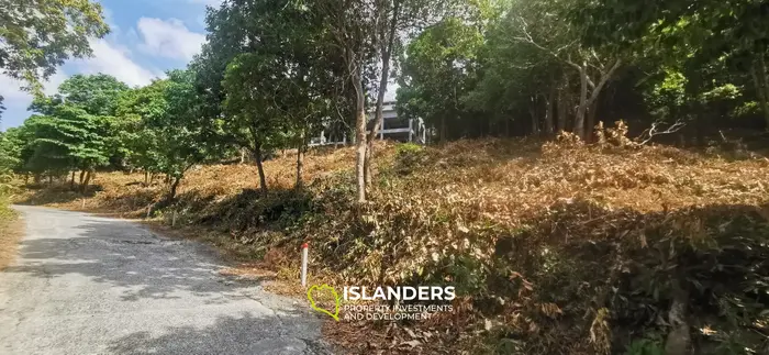 WOW Sea view land (3 plots) in Mae Haad